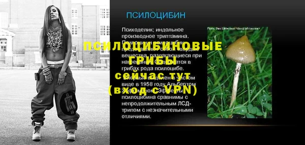 каннабис Арсеньев