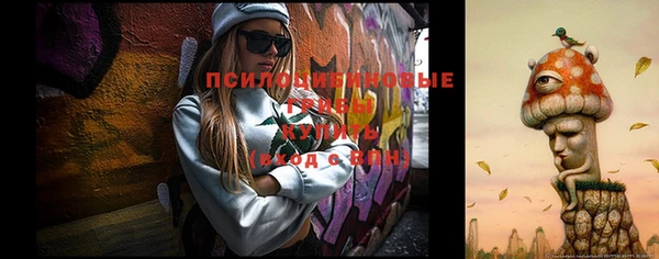 тгк Армянск